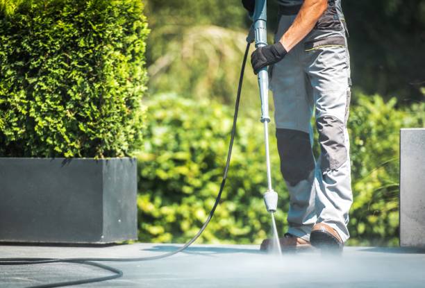 Trusted Fort Ashby, WV Pressure Washing Services Experts